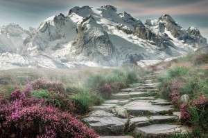 冲锋陷阵打一数字 冲锋陷阵