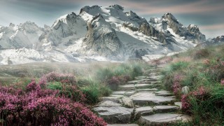 部落冲突部落战五本最强阵型图片 部落战争5本布局